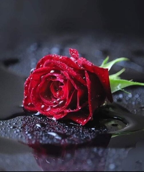 Colega pentru masaj terapeutik